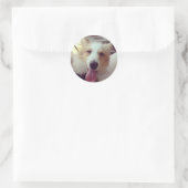 Rond Sticker Sheltie (Sac)