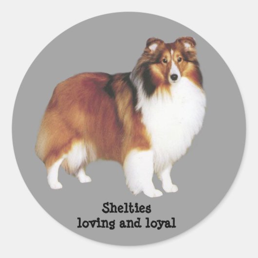 Rond Sticker Sheltie (Devant)