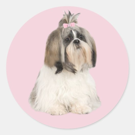 Rond Sticker Shih Tzu (Devant)