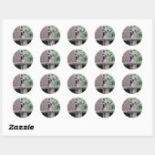 Rond Sticker Shy Raccoon (Feuille)