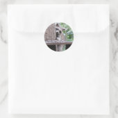 Rond Sticker Shy Raccoon (Sac)