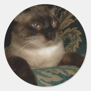 Rond Sticker Siamese Face Pouty