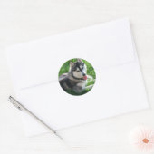 Rond Sticker Sibérien Husky Chien (Enveloppe)
