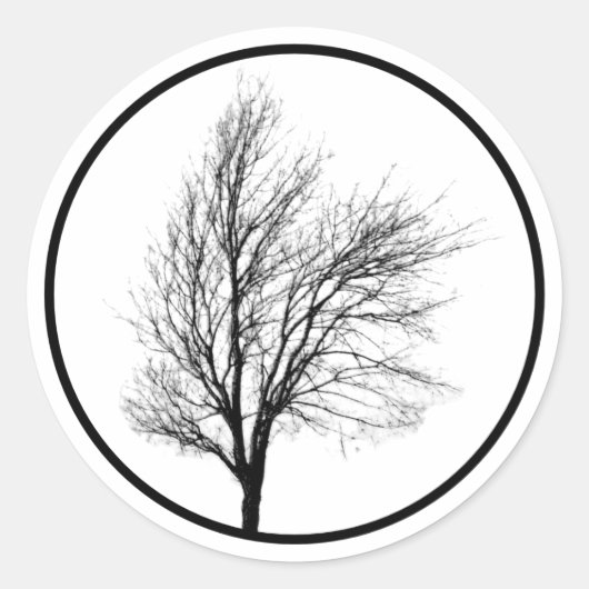 Rond Sticker Silhouette Arbre Nu (Devant)