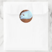 Rond Sticker Snowball White Rat (Sac)