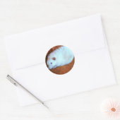 Rond Sticker Snowball White Rat (Enveloppe)
