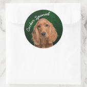 Rond Sticker Spaniel Cocker (Sac)