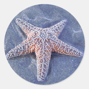 Rond Sticker Starfish
