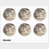 Rond Sticker Sticker Squirrel Writer (Feuille)