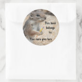 Rond Sticker Sticker Squirrel Writer (Sac)