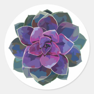 Rond Sticker succulent