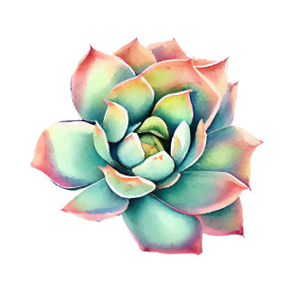 Rond Sticker Succulent
