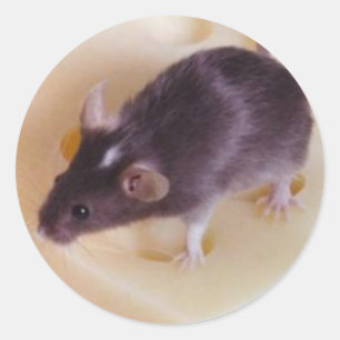 Rond Sticker suisse pour souris au fromage