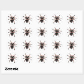 Rond Sticker Tarantula (Feuille)