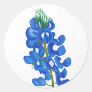 Rond Sticker Texas Bluebonnet