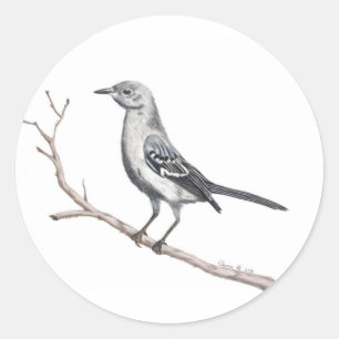 Rond Sticker Texas Mockingbird