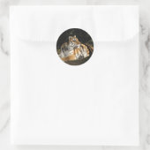 Rond Sticker Tiger (Sac)