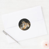 Rond Sticker Tiger (Enveloppe)
