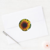 Rond Sticker tournesol (Enveloppe)