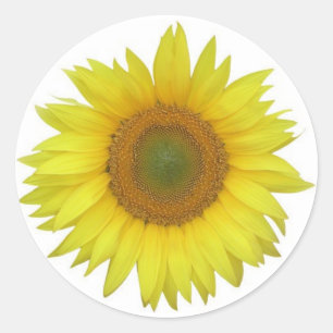 Rond Sticker tournesol