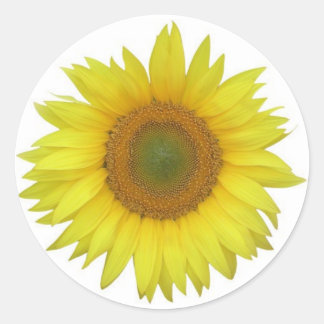 Rond Sticker tournesol