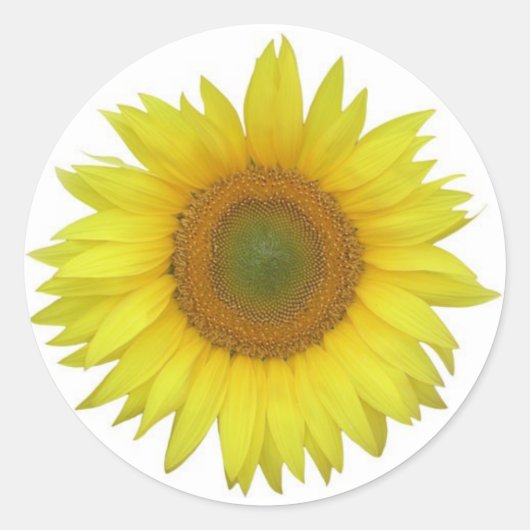 Rond Sticker tournesol (Devant)