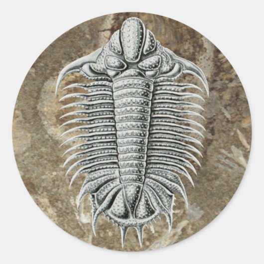 Rond Sticker Trilobite (Devant)