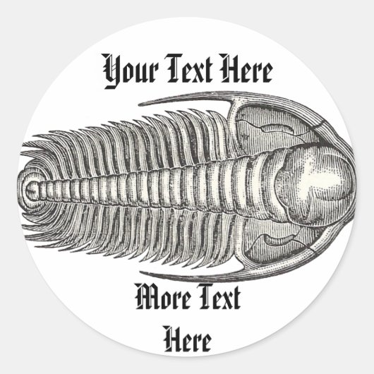 Rond Sticker Trilobite vintage (Devant)