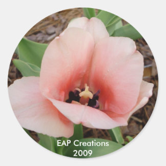 Rond sticker tulipe rose
