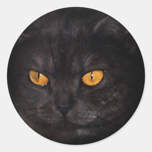 Rond sticker Venezia Cat (Devant)