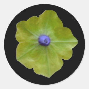 Rond Sticker vert et bleu Petunia