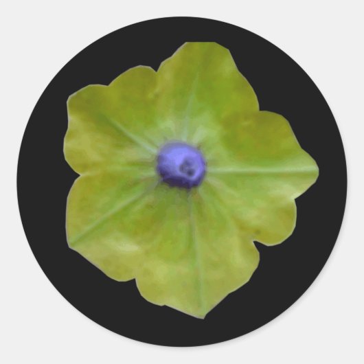 Rond Sticker vert et bleu Petunia (Devant)