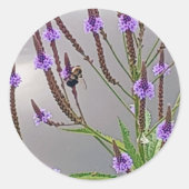 Rond Sticker Vervain (Devant)