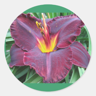 Rond Sticker Volcanique Daylily
