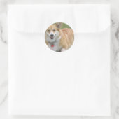 Rond Sticker Welsh Corgi (Sac)