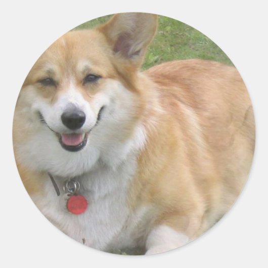 Rond Sticker Welsh Corgi (Devant)