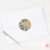 Rond Sticker Welsh Corgi (Enveloppe)