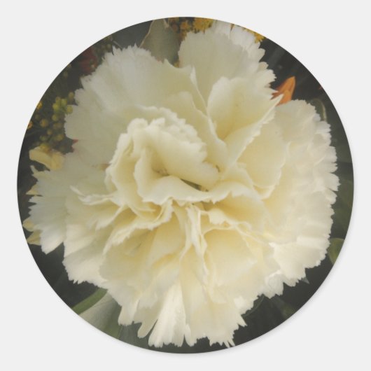 Rond Sticker White Carnation Beauté (Devant)