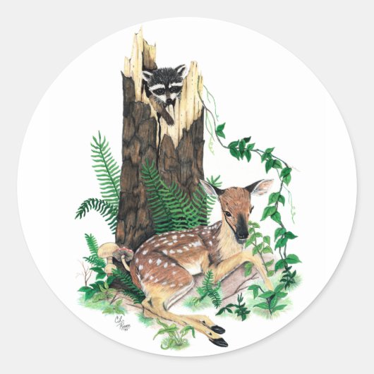 Rond Sticker White Deer Fawn et Raccoon (Devant)