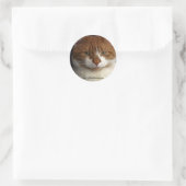 Rond Sticker Wilber (Sac)