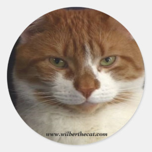 Rond Sticker Wilber