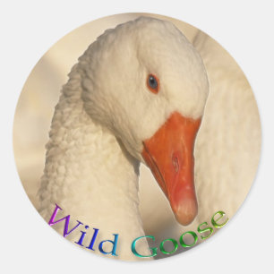 Rond Sticker Wild White Oose Bird Wildlife