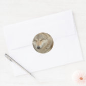 Rond Sticker Wolf (Enveloppe)