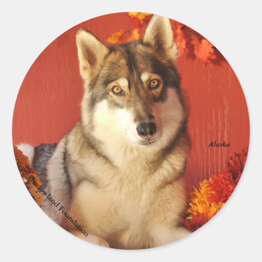 Rond Sticker Wolf Fall (Devant)