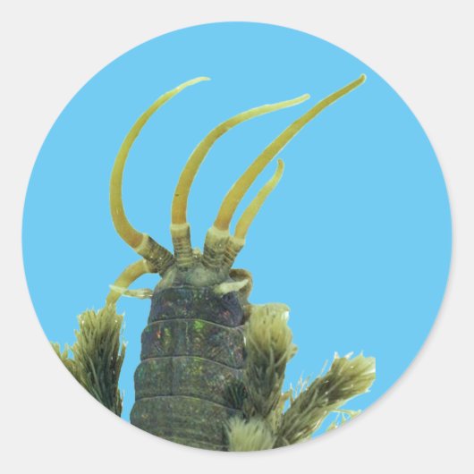 Rond Sticker Worm 1 (Devant)