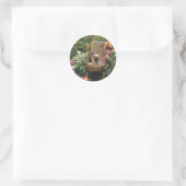 Rond Sticker Yorkshire Terrier Jardin (Sac)