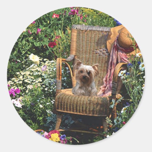 Rond Sticker Yorkshire Terrier Jardin (Devant)