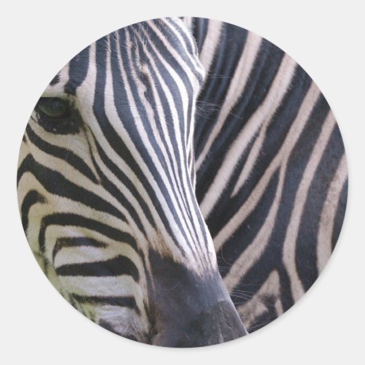 Rond Sticker Zebra (Devant)