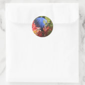 Rond Succulent Jardin Plante avec Sticker Orb (Sac)