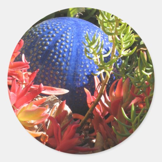 Rond Succulent Jardin Plante avec Sticker Orb (Devant)